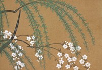 Blossoms from Momoyogusa&ndash;Flowers of a Hundred Generations (1909) by <a href="https://www.rawpixel.com/search/Kamisaka%20Sekka?sort=curated&amp;type=all&amp;page=1">Kamisaka Sekka</a>. Original from the The New York Public Library. Digitally enhanced by rawpixel.