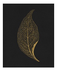 Gold leaf poster, vintage nature on black background