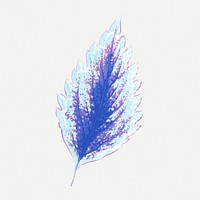 Blue leaf illustration, aesthetic nature graphic psd