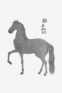 Horse Illustration from Narrative of the Expedition of an American Squadron to the China Seas and Japan, performed in the years 1852, 1853 and 1854, under the command of Commodore M. C. Perry (1856) by Francis Lister Hawks. Original from British Library. Digitally enhanced by rawpixel.