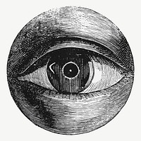 Vintage eye drawing vector, remixed from artwork by Isaac Weissenbruch.