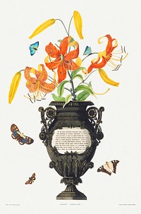 Vintage tiger lily flower in vase illustration botanical wall art