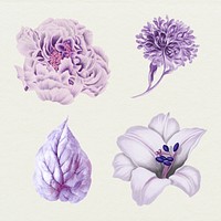 Vintage purple flower and leaf  collection