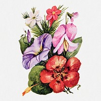 Climbers flower sticker, vintage botanical illustration psd, digitally enhanced from our own original copy of The Open Door to Independence (1915) by Thomas E. Hill.