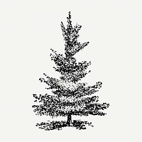 Vintage tree sticker, hand drawn illustration psd, digitally enhanced from our own original copy of The Open Door to Independence (1915) by Thomas E. Hill.