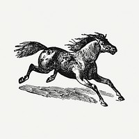 Running horse sticker, black ink drawing psd, digitally enhanced from our own original copy of The Open Door to Independence (1915) by Thomas E. Hill.