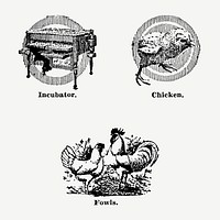 Vintage animal & farming drawing. Digitally enhanced from our own original copy of The Open Door to Independence (1915) by Thomas E. Hill. 