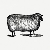 Sheep collage element, black ink drawing psd, digitally enhanced from our own original copy of The Open Door to Independence (1915) by Thomas E. Hill.