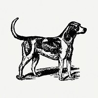 Harrier dog clipart, black ink drawing psd, digitally enhanced from our own original copy of The Open Door to Independence (1915) by Thomas E. Hill.