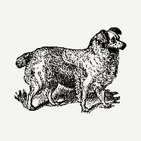 Truffle dog sticker, black ink drawing psd, digitally enhanced from our own original copy of The Open Door to Independence (1915) by Thomas E. Hill.