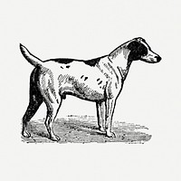 Smooth Fox Terrier dog sticker, black ink drawing psd, digitally enhanced from our own original copy of The Open Door to Independence (1915) by Thomas E. Hill.