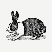 Rabbit sticker, black ink drawing psd, digitally enhanced from our own original copy of The Open Door to Independence (1915) by Thomas E. Hill.