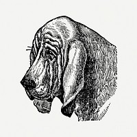 Bloodhound dog clipart, black ink drawing psd, digitally enhanced from our own original copy of The Open Door to Independence (1915) by Thomas E. Hill.