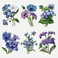 Watercolor flowers sticker, colorful vintage illustration psd set, digitally enhanced from our own original copy of The Open Door to Independence (1915) by Thomas E. Hill.