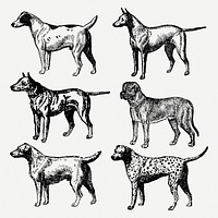 Dog sticker, vintage animal black ink illustration, psd set, digitally enhanced from our own original copy of The Open Door to Independence (1915) by Thomas E. Hill.