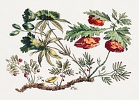 Flower Bough, from &quot;Recueil de Fleurs Chinois&quot; by Jean&ndash;Baptiste Pillement (1728&ndash;1808). Original from The Smithsonian. Digitally enhanced by rawpixel.