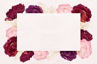 Pink & red peony frame, aesthetic floral design psd