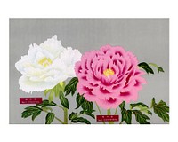 Japanese peony wall decor, aesthetic vintage print