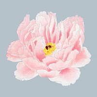 Peony sticker, aesthetic flower clipart, floral & botanical style psd