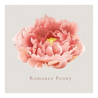 Japanese peony wall decor, aesthetic vintage print