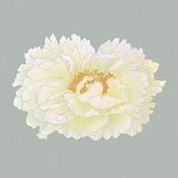 Aesthetic peony flower sticker, floral clipart psd