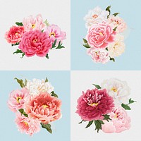 Peony sticker, aesthetic flower clipart, floral & botanical style psd set