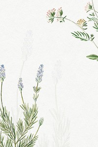 French Lavender and Kidney Vetch frame illustration