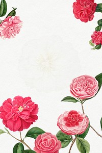 Vintage Camellia frame illustration