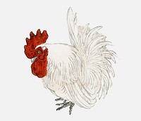 Japanese Bantam by Kōno Bairei (1844-1895). Digitally enhanced from our own original 1913 edition of Bairei Gakan.