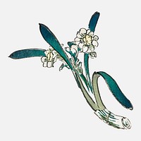 Bunchflower Daffodil by Kōno Bairei (1844-1895). Digitally enhanced from our own original 1913 edition of Bairei Gakan.