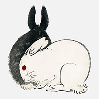 Black and white rabbits by Kōno Bairei (1844-1895). Digitally enhanced from our own original 1913 edition of Bairei Gakan.