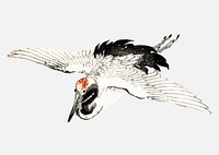 Flying crane by Kōno Bairei (1844-1895). Digitally enhanced from our own original 1913 edition of Bairei Gakan.