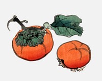 Persimmons by Kōno Bairei (1844-1895). Digitally enhanced from our own original 1913 edition of Bairei Gakan.