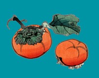 Persimmons by Kōno Bairei (1844-1895). Digitally enhanced from our own original 1913 edition of Bairei Gakan.