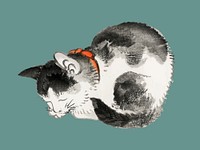 Sleeping cat by Kōno Bairei (1844-1895). Digitally enhanced from our own original 1913 edition of Bairei Gakan.