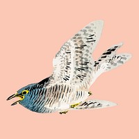 European herring gull by Kōno Bairei (1844-1895). Digitally enhanced from our own original 1913 edition of Bairei Gakan.