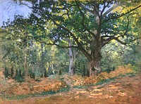 The Bodmer Oak, Fontainebleau Forest (1865) by <a href="https://www.rawpixel.com/search/claude%20monet?sort=curated&amp;page=1">Claude Monet</a>, high resolution famous painting. Original from The MET. Digitally enhanced by rawpixel.
