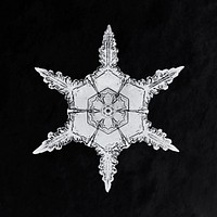 Wilson Bentley&#39;s Snowflake 342 (ca. 1890) detailed photograph of snowflakes in high resolution by <a href="https://www.rawpixel.com/search/Wilson%20Alwyn%20Bentley?sort=curated&amp;page=1">Wilson Alwyn Bentley</a>. Original from The Smithsonian. Digitally enhanced by rawpixel.