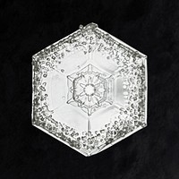 Wilson Bentley&#39;s Snowflake 951 (ca. 1890) detailed photograph of snowflakes in high resolution by <a href="https://www.rawpixel.com/search/Wilson%20Alwyn%20Bentley?sort=curated&amp;page=1">Wilson Alwyn Bentley</a>. Original from The Smithsonian. Digitally enhanced by rawpixel.