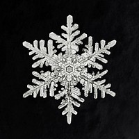 Wilson Bentley's Snowflake 1152 (ca. 1890) detailed photograph of snowflakes in high resolution by Wilson Alwyn Bentley. Original from The Smithsonian. Digitally enhanced by rawpixel.