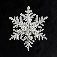 New year snowflake psd macro photography, remix of art by Wilson Bentley