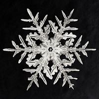 Wilson Bentley&#39;s Snowflake 332 (ca. 1890) detailed photograph of snowflakes in high resolution by <a href="https://www.rawpixel.com/search/Wilson%20Alwyn%20Bentley?sort=curated&amp;page=1">Wilson Alwyn Bentley</a>. Original from The Smithsonian. Digitally enhanced by rawpixel.