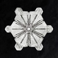 Wilson Bentley's Snowflake 976 (ca. 1890) detailed photograph of snowflakes in high resolution by Wilson Alwyn Bentley. Original from The Smithsonian. Digitally enhanced by rawpixel.