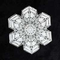 Wilson Bentley&#39;s Snowflake 10 (ca. 1890) detailed photograph of snowflakes in high resolution by <a href="https://www.rawpixel.com/search/Wilson%20Alwyn%20Bentley?sort=curated&amp;page=1">Wilson Alwyn Bentley</a>. Original from The Smithsonian. Digitally enhanced by rawpixel.