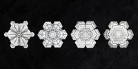 Icy snowflake psd macro photography set, remix of art by Wilson Bentley