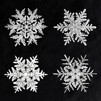 Icy snowflake psd macro photography set, remix of art by Wilson Bentley