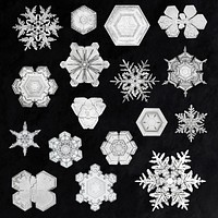 Christmas snowflake psd macro photography set, remix of art by Wilson Bentley