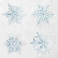 Icy snowflake psd macro photography set, remix of art by Wilson Bentley