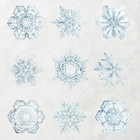 Festive winter snowflake psd macro photography set, remix of art by Wilson Bentley