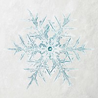 Christmas snowflake psd macro photography, remix of art by Wilson Bentley